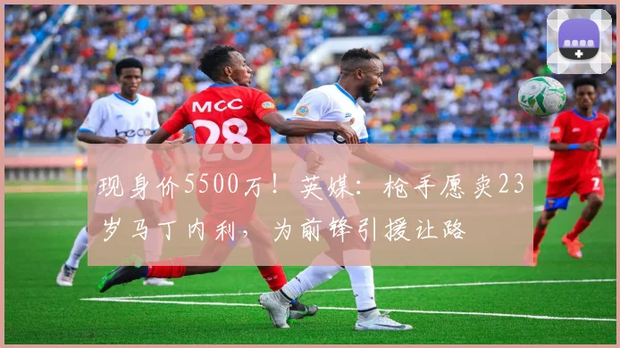 现身价5500万！英媒：枪手愿卖23岁马丁内利，为前锋引援让路