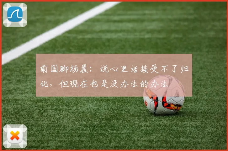 前国脚杨晨：说心里话接受不了归化，但现在也是没办法的办法